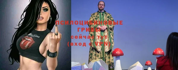 крисы Медногорск